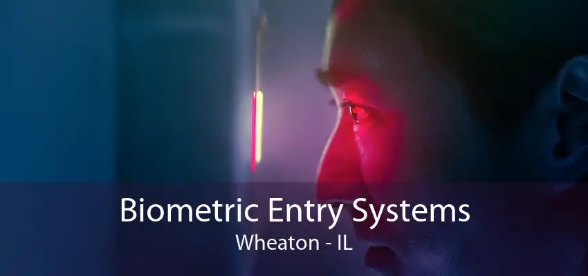 Biometric Entry Systems Wheaton - IL