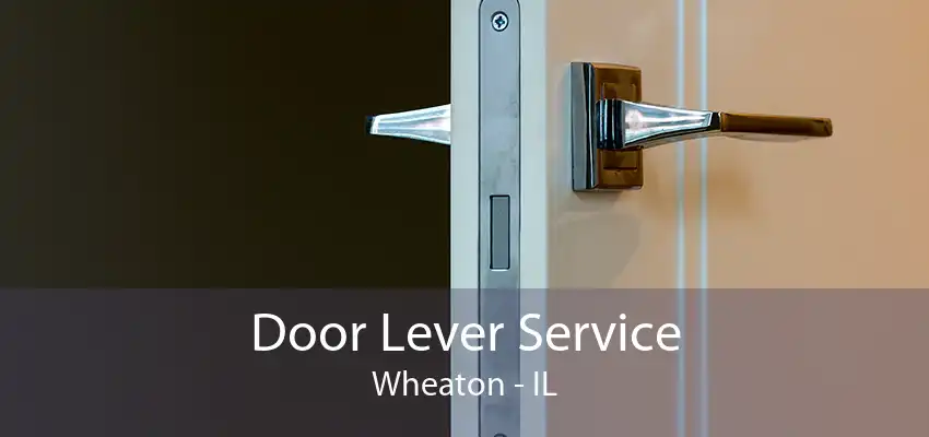 Door Lever Service Wheaton - IL