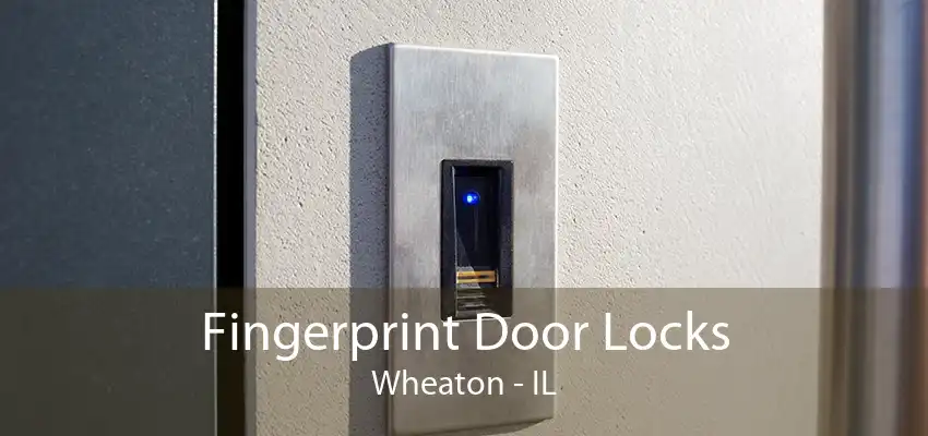 Fingerprint Door Locks Wheaton - IL