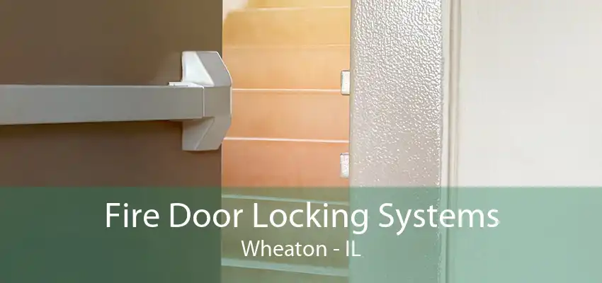 Fire Door Locking Systems Wheaton - IL