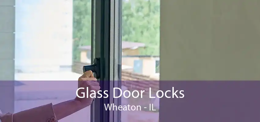 Glass Door Locks Wheaton - IL