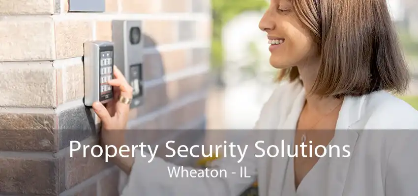 Property Security Solutions Wheaton - IL